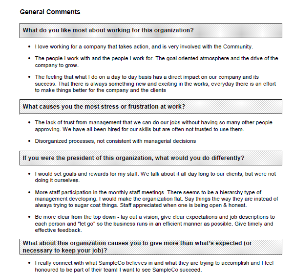 Sample Engagement Report D